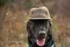 Established Camper Hat