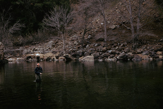 Complete Beginner's Guide to Fly Fishing: Everything You Need to Start