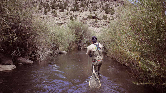 How to Plan the Perfect Fly Fishing Trip